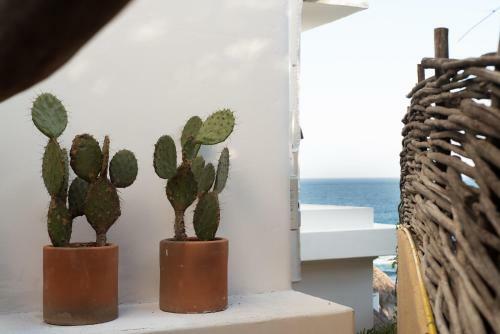Hotel El Alquimista