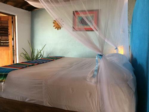 Hotel Posada Mexico
