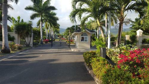 Villa The Palms