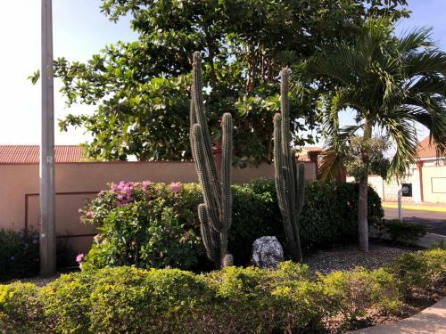 Vacation Retreat