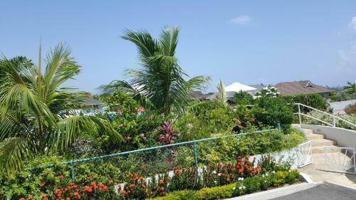 Villa Ocho Rios Under The Coolshade II