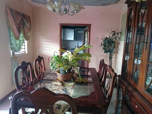 Bed & Breakfast Nine Miles Cultural Hangouts And Tours
