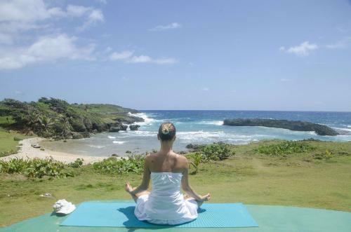 Hostal Go Natural Jamaica