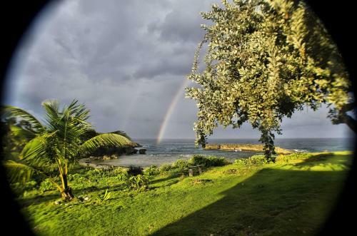 Hostal Go Natural Jamaica