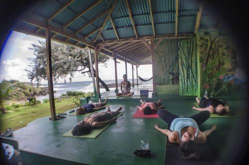 Hostal Go Natural Jamaica