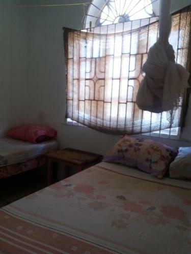 Albergue Jungle In Town