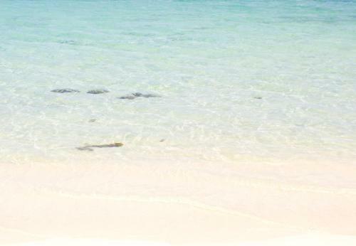 Apartamento Oasis At Sandcastles