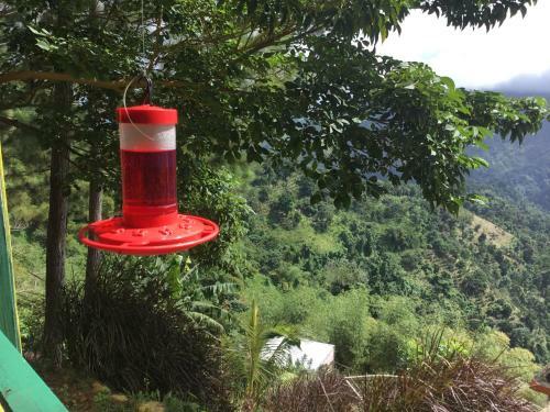 Blue Mountain Wilderness Retreat (bmwr)