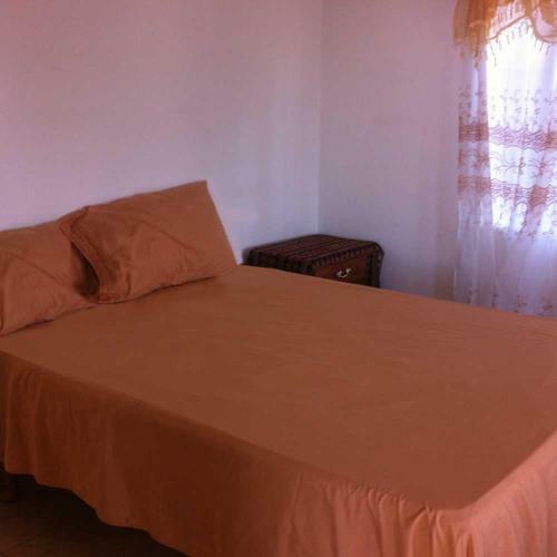 Irie Vybz Guesthouse