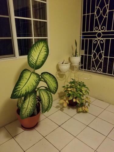 Apartamento Dominique's 2bedroom St Catherine Crashpad Ja
