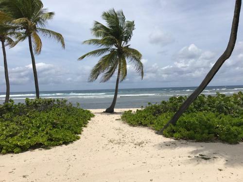 Apartamento Pelican Cove Condo