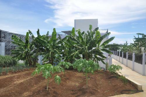 Hotel Fantastic Garden Saipan
