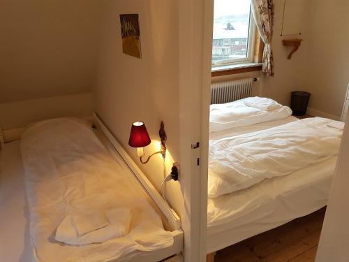 Hostal Budget Guesthouse Borgustova