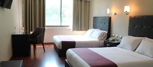 Hotel Diana Del Bosque