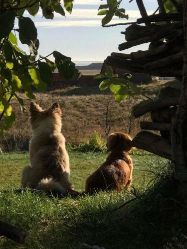 L�kjarhus Farm Holidays