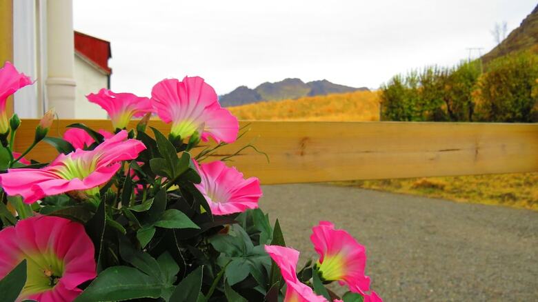 K�lfafellsstadur Bed & Breakfast