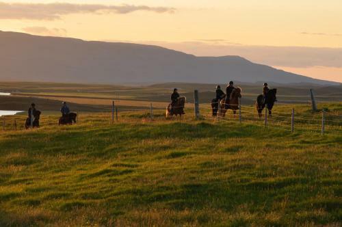 Agroturismo St�ra-�sgeirs� Farm Stay