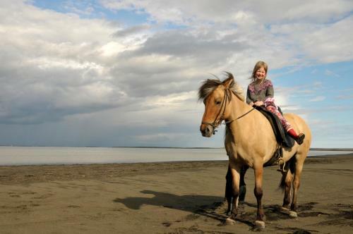 Arab�r Holiday Home