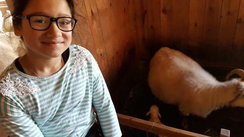 Lodge Klara's Farm Holidays