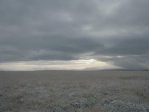 Nefsholt