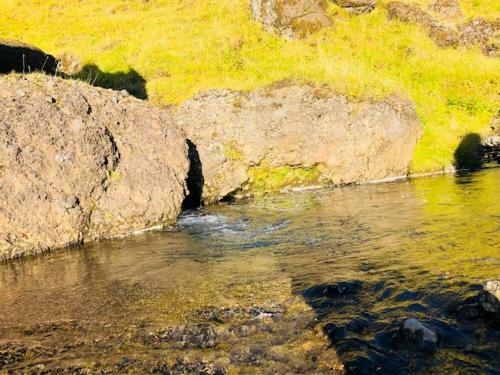 Hostal Hamrafoss Holiday Home