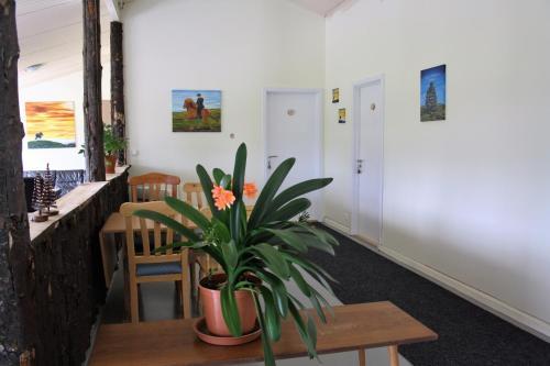 Hostal Kaldbakur Guesthouse