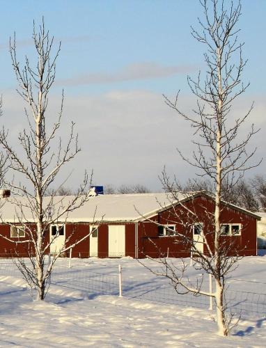 Hostal Kaldbakur Guesthouse