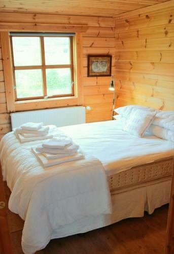 Geysir - Modern Log Cabin