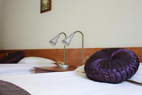Hotel Guesthouse Svartisk�gur Egilssta�ir