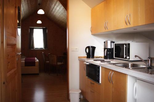Hotel Guesthouse Svartisk�gur Egilssta�ir