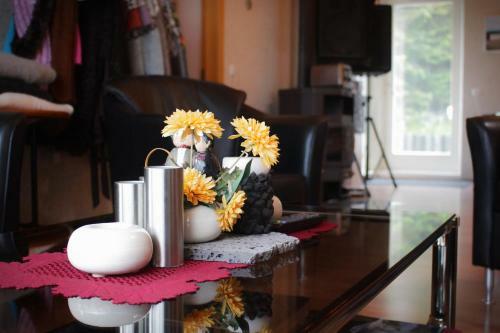 Hotel Guesthouse Svartisk�gur Egilssta�ir