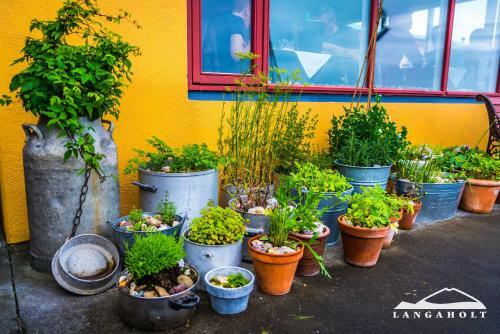 Hostal Langaholt Guesthouse