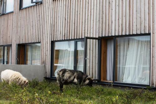 Hotel Fossh�tel M�vatn