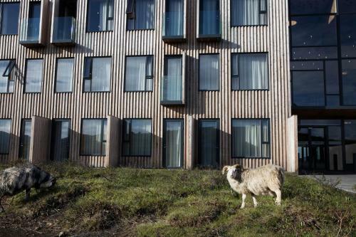 Hotel Fossh�tel M�vatn