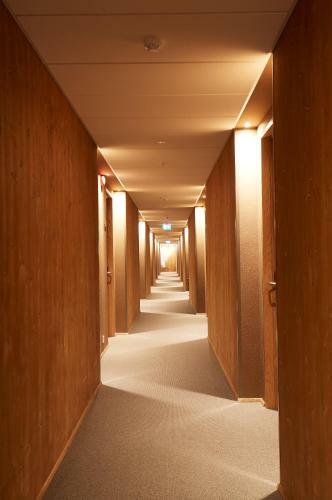 Hotel Fossh�tel M�vatn