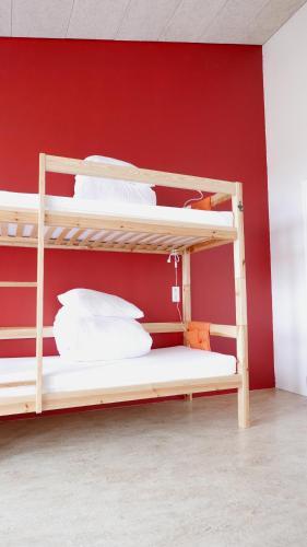 Albergue Snotra House