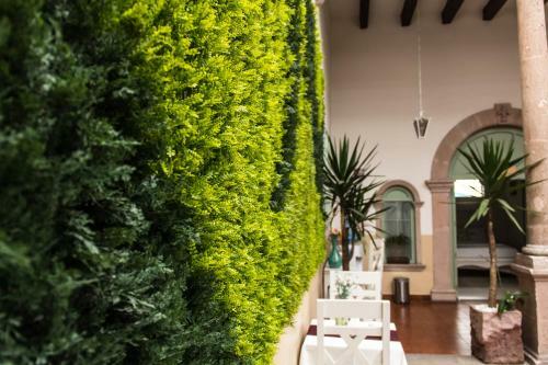 Casa Jose Maria