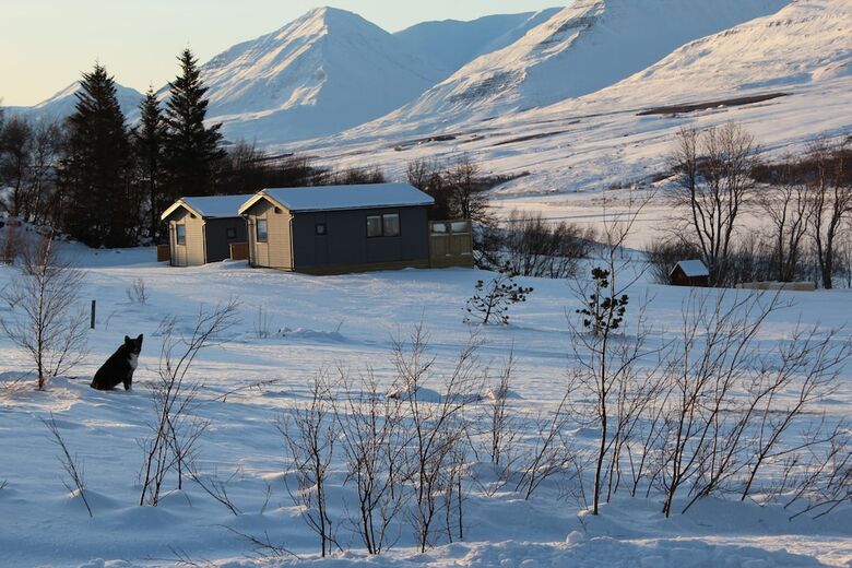 Silva Holiday Home