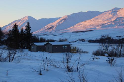Silva Holiday Home