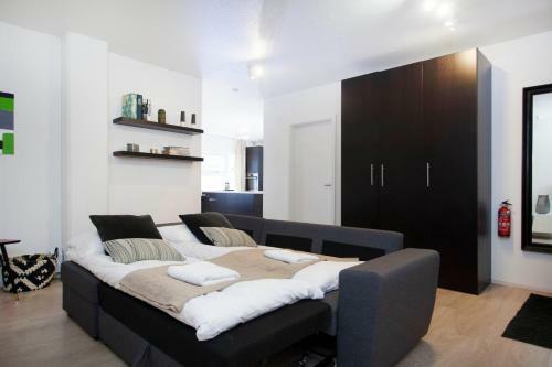 Downtown Dream Apartments