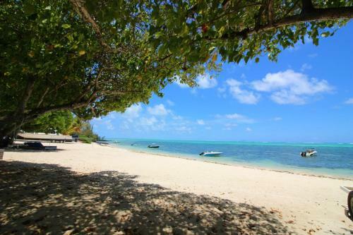 La Case Creole By Staymauritius