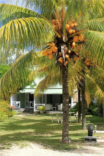 La Case Creole By Staymauritius