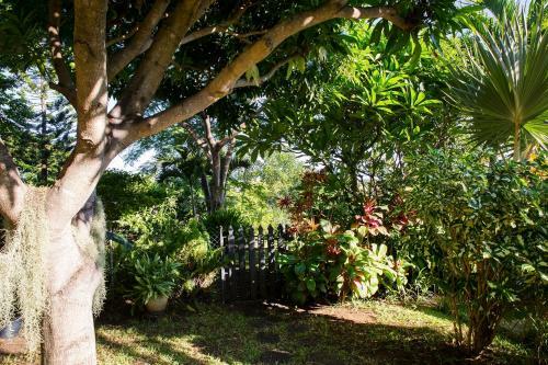 Apartamento Lacasepoz