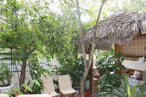 Hostal Villa Le Chapo