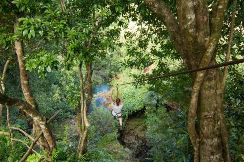 Chazal Ecotourism