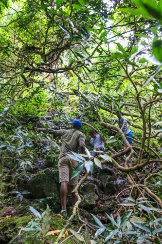 Chazal Ecotourism