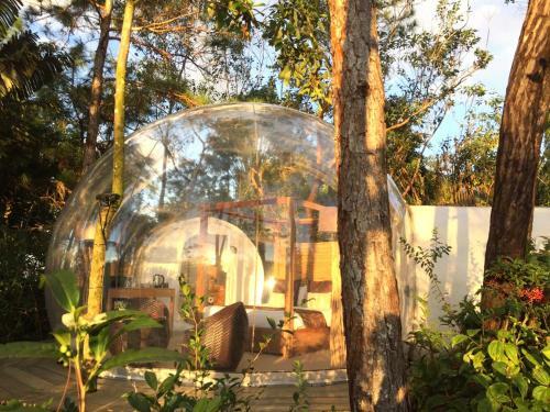 Bubble Lodge Bois Ch�ri Plantation
