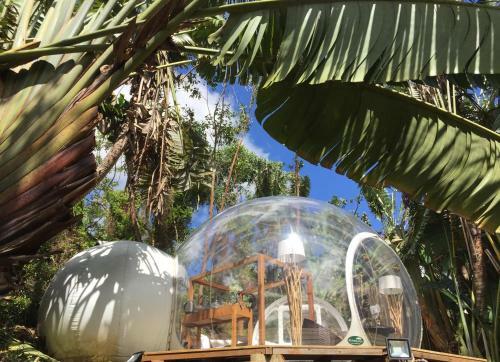 Bubble Lodge Bois Ch�ri Plantation
