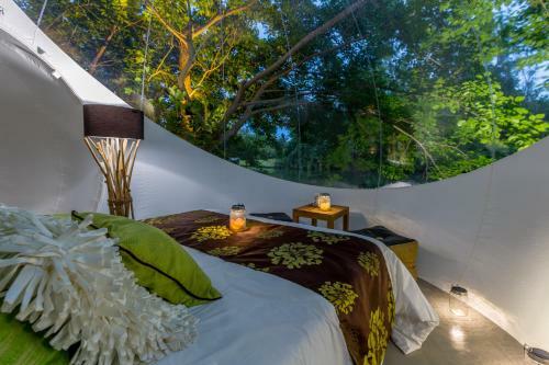 Bubble Lodge Bois Ch�ri Plantation