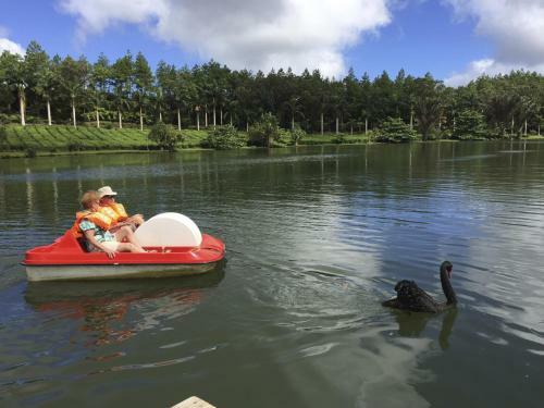 Bubble Lodge Bois Ch�ri Plantation